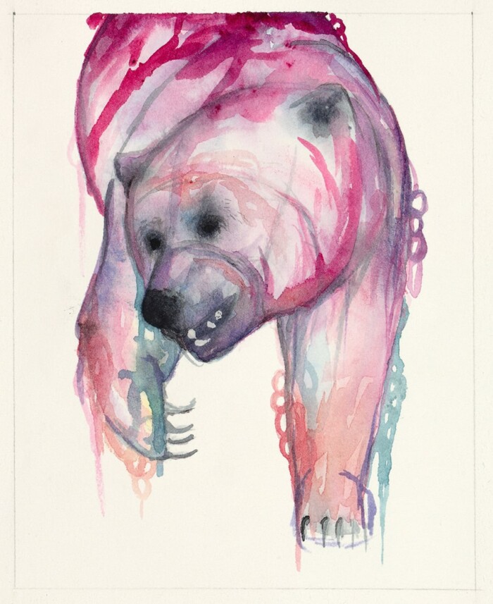 Erynn-Richardson_Study-Bear