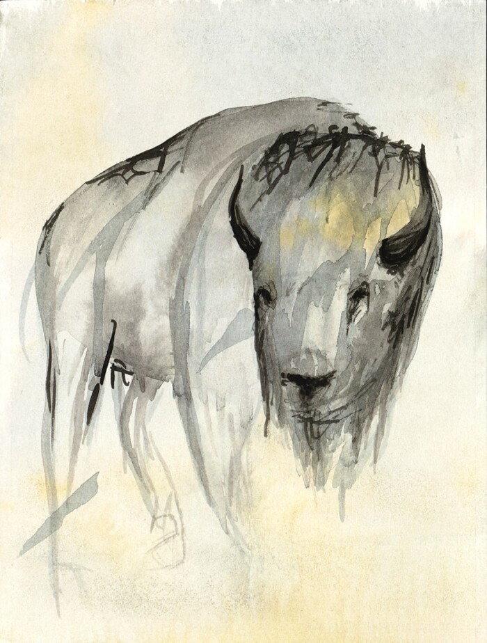 Erynn-Richardson_Study-Bison