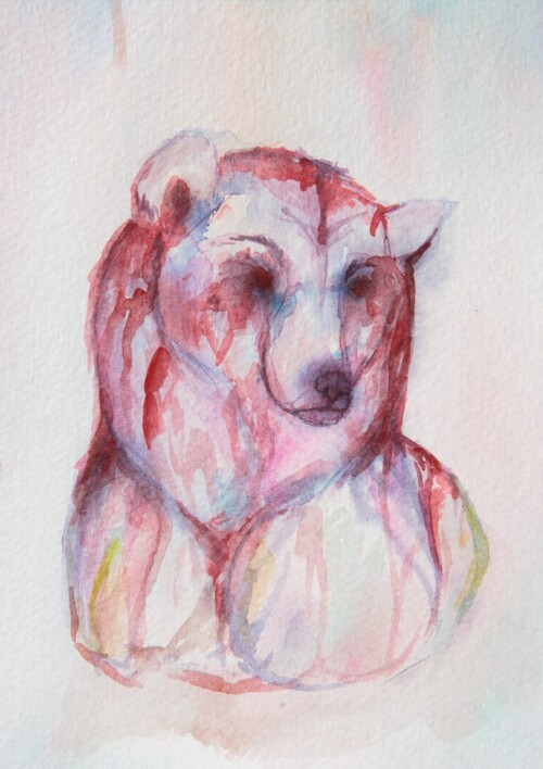 Erynn-Richardson_Bear-Field-Study-1