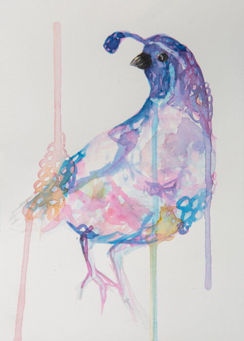 Erynn Richardson_Quail Study 1