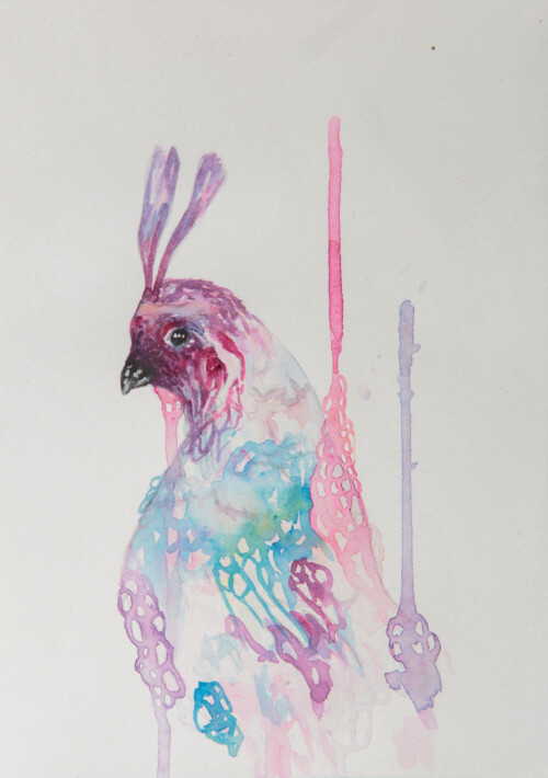 Erynn Richardson_Quail Study 2