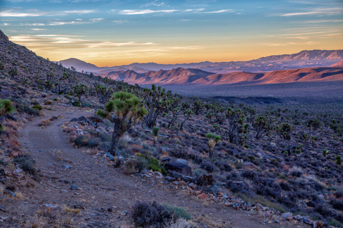 Josh Patterson_Mojave Dawn