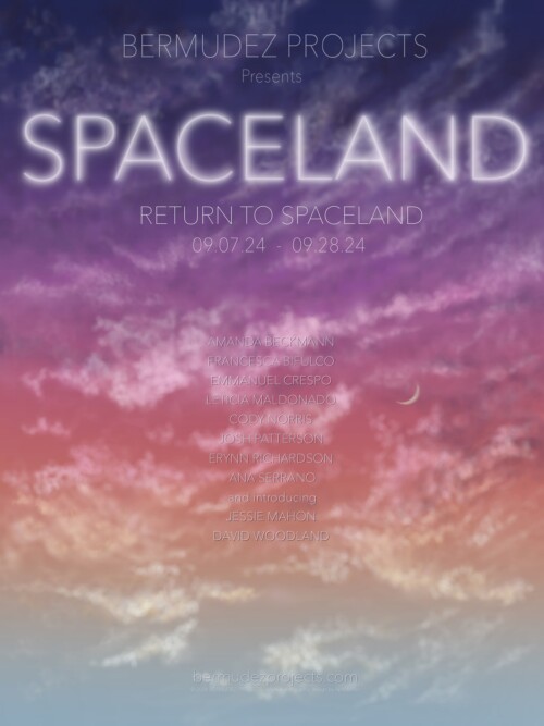 spaceland poster image